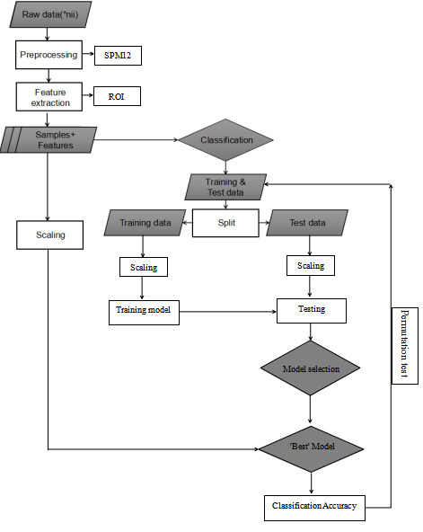 ML model