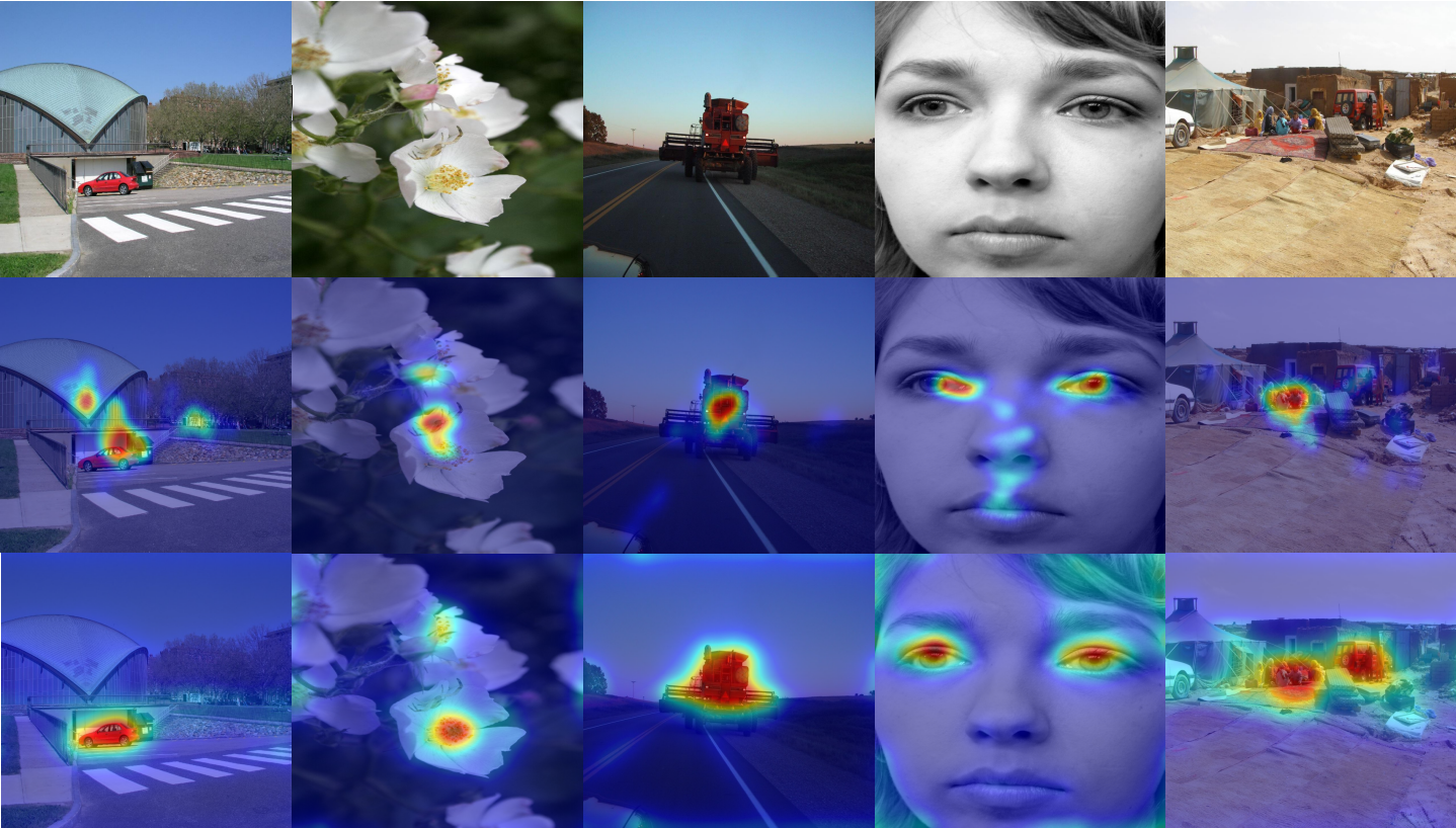 saliency_imgs